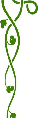 Vines Clipart Celtic - Corner Borders (640x480)