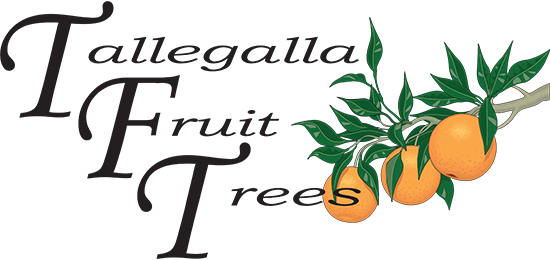 Fruit (550x260)