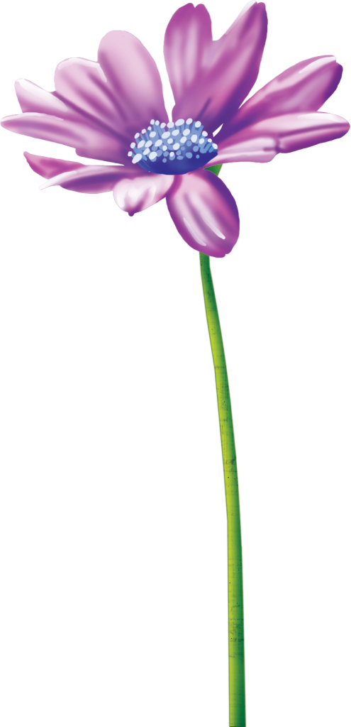 Flowers - Flower (495x1024)