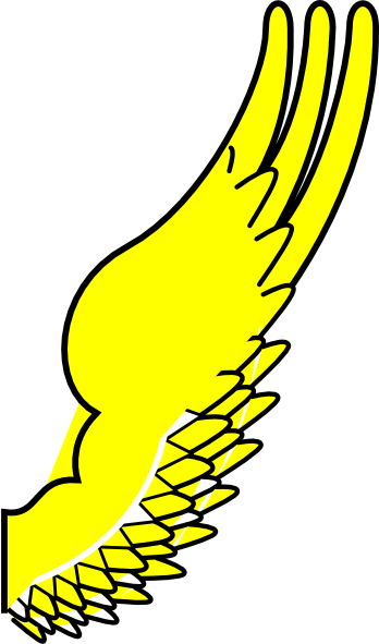 Transparent Cartoon Wing (348x591)