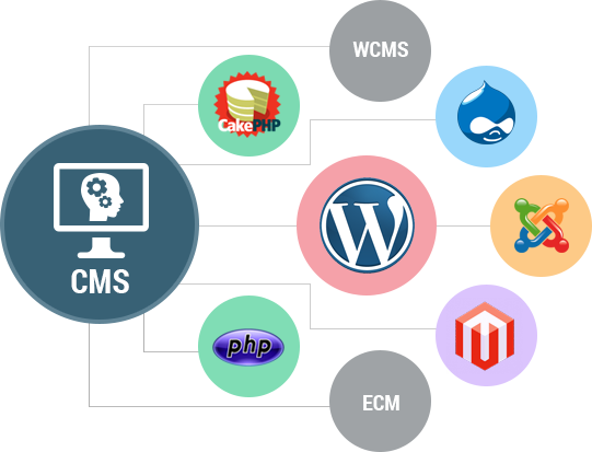 Cms Development - Cms Development Png (541x413)