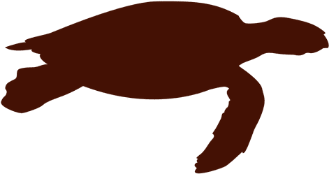 Turtle Silhouette - Silhouette (512x512)