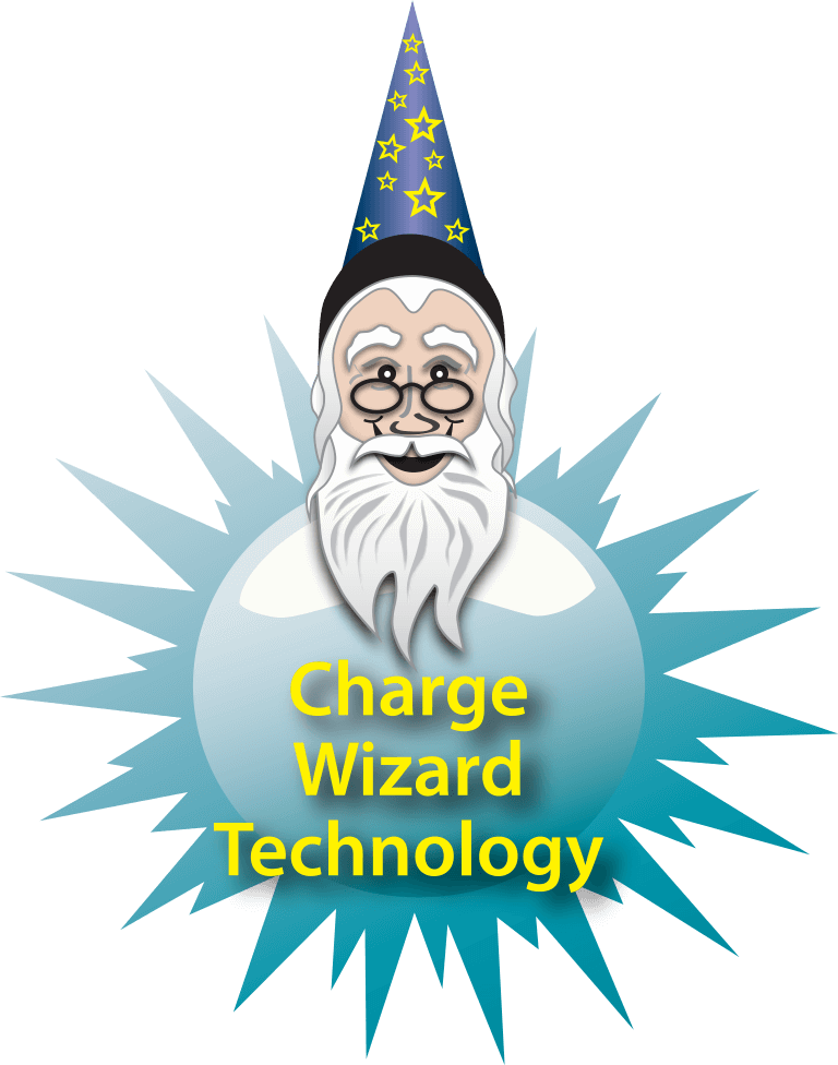 New View The Charge Wizard Interactive Video - Icono De Einstein (768x976)