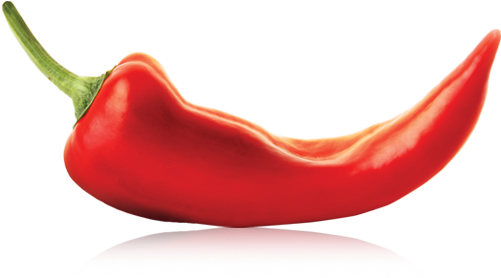 5978585 - Chili (505x362)