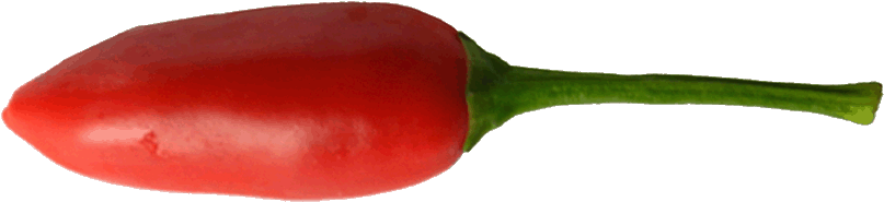 Bullet Chillis - Small Red Chilli Types (807x542)