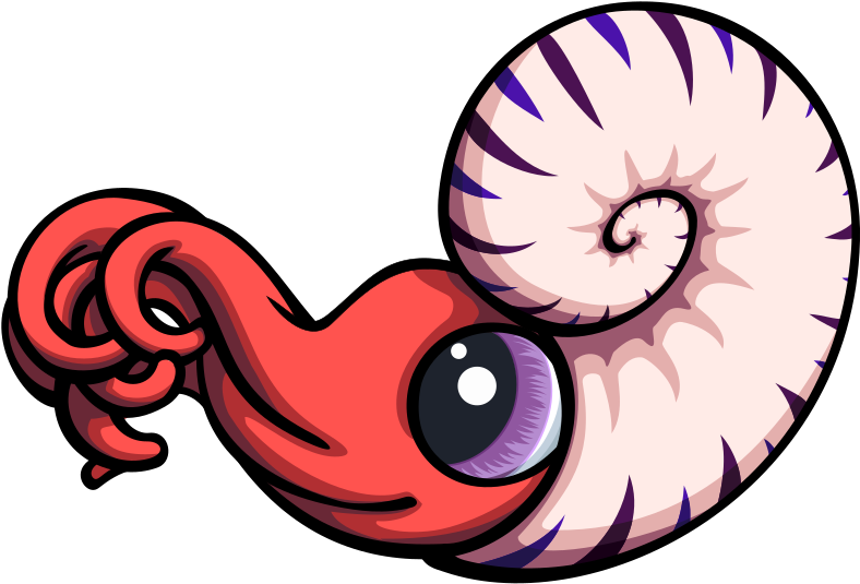 Medium Image - Ammonite Clipart (800x554)