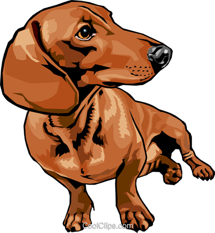狗免版税矢量剪贴画插图 - Dachshunds Cartoon (443x480)