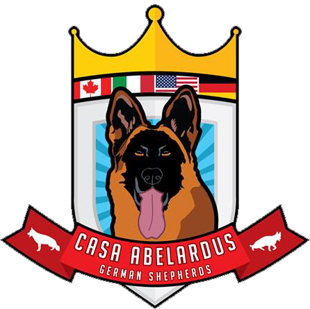 German Shepherd Clip Art (446x445)