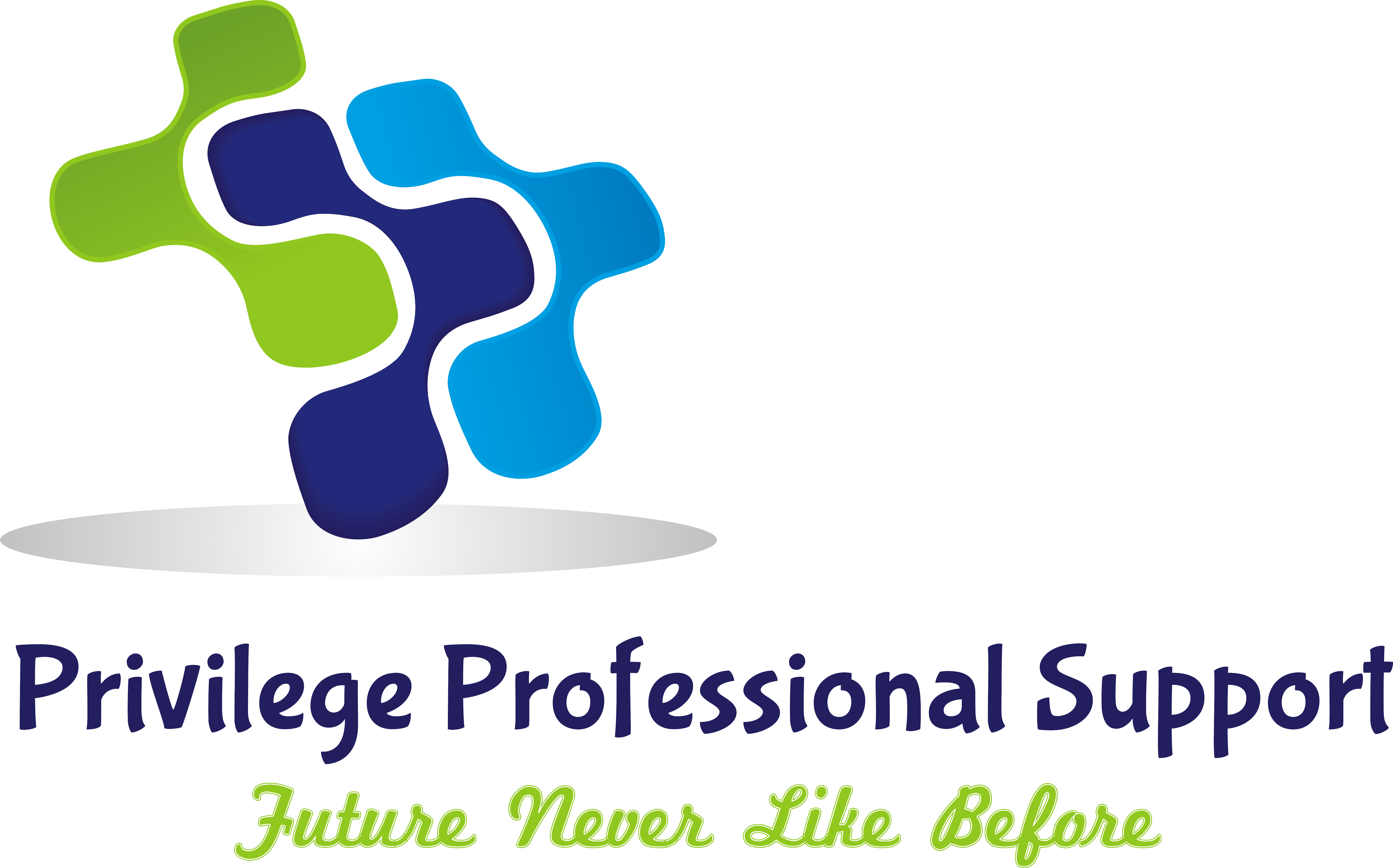 Privilege Professional Support - Graphic Design (6342x3953)