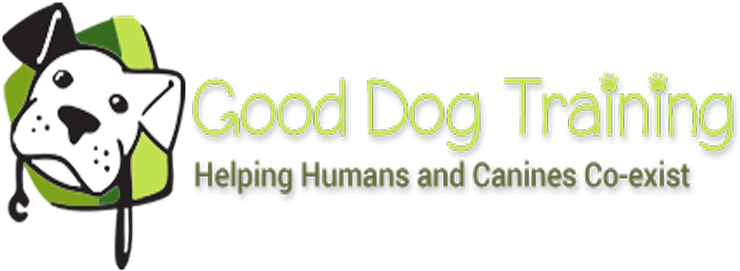Dog Training (786x288)