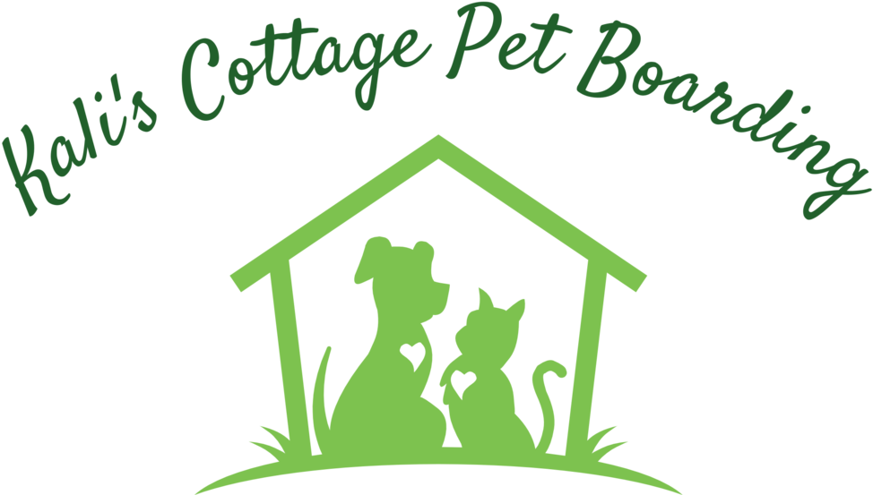   Pet (1000x553)
