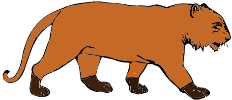 Stripeless Tiger - Stripeless Tiger (480x273)