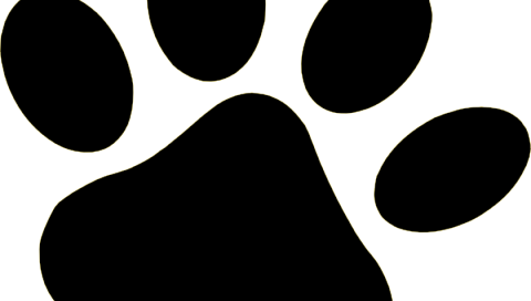 Clip Art (480x272)
