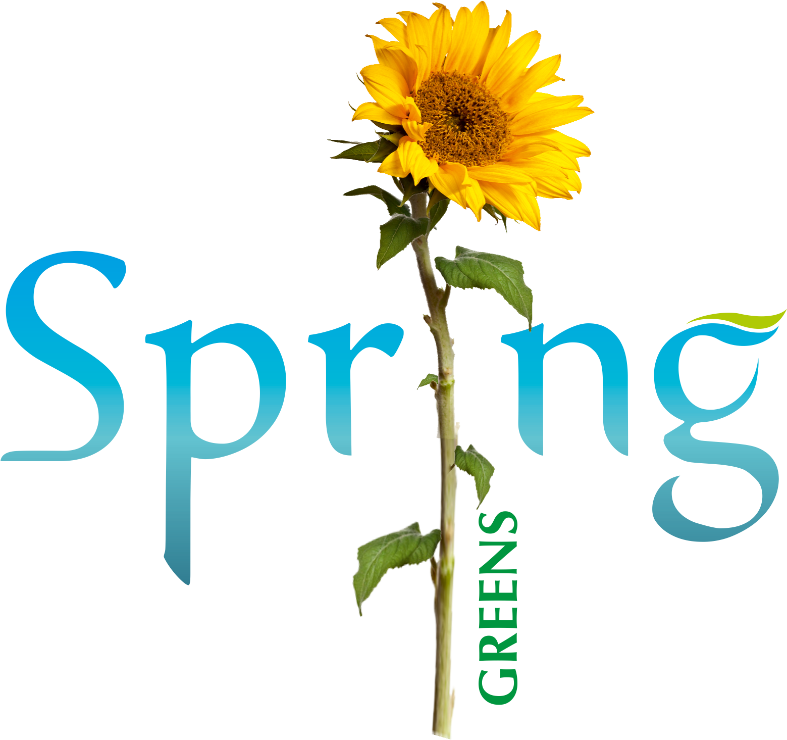 Spring Green - Spring (1558x1545)