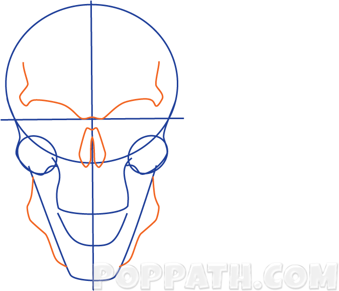 Play Slideshow - Skull (1000x1000)
