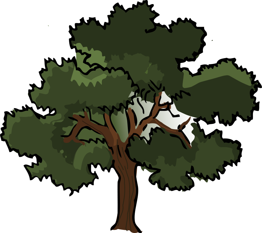 Oak Clipart - Шаблон Дерева (900x801)