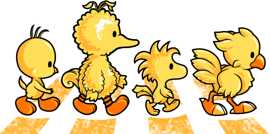 Birdy (899x448)