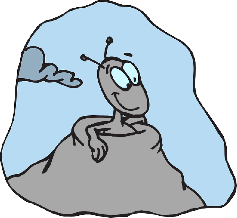 Anthill Clip Art - Ant (800x737)