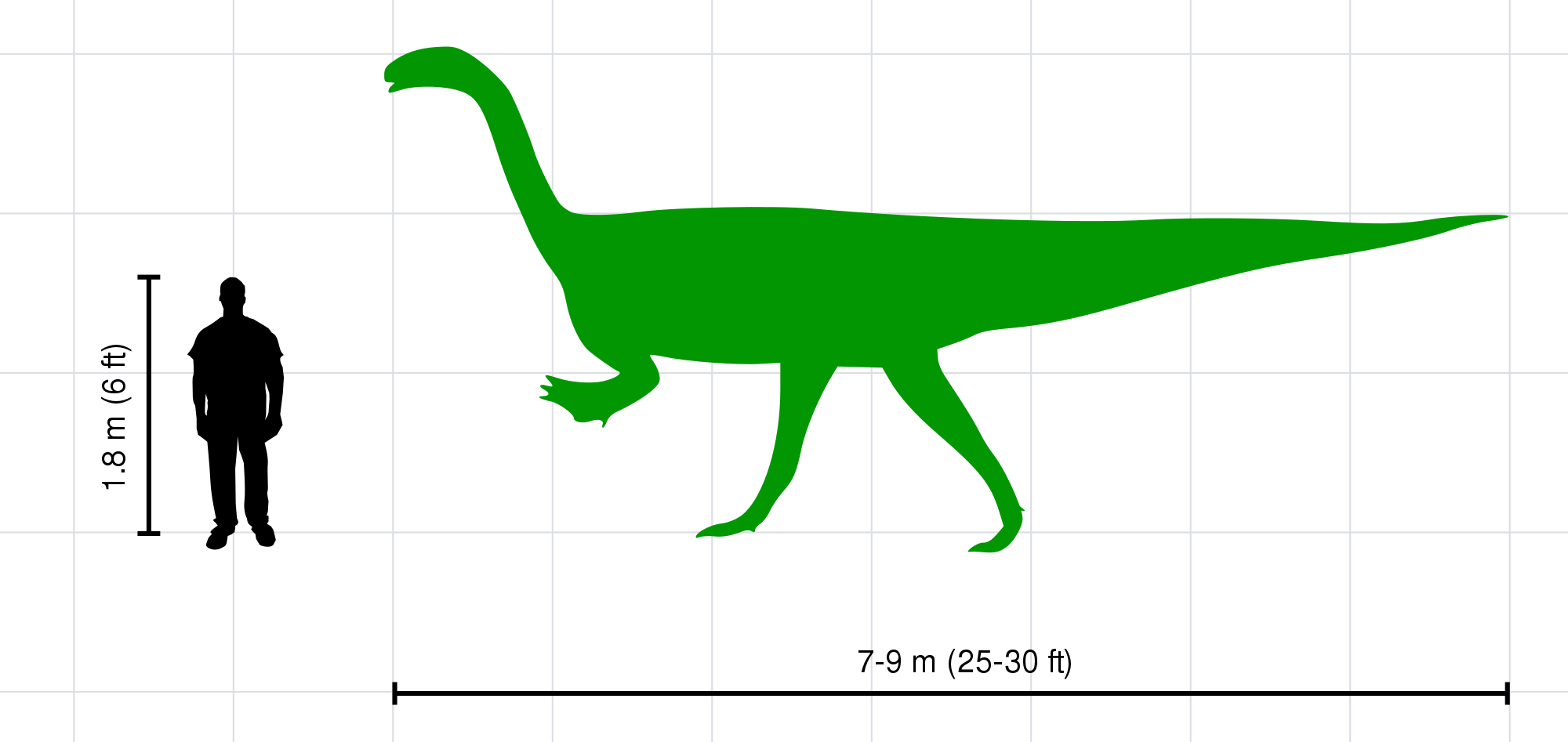 Open - Plateosaurus (2000x947)