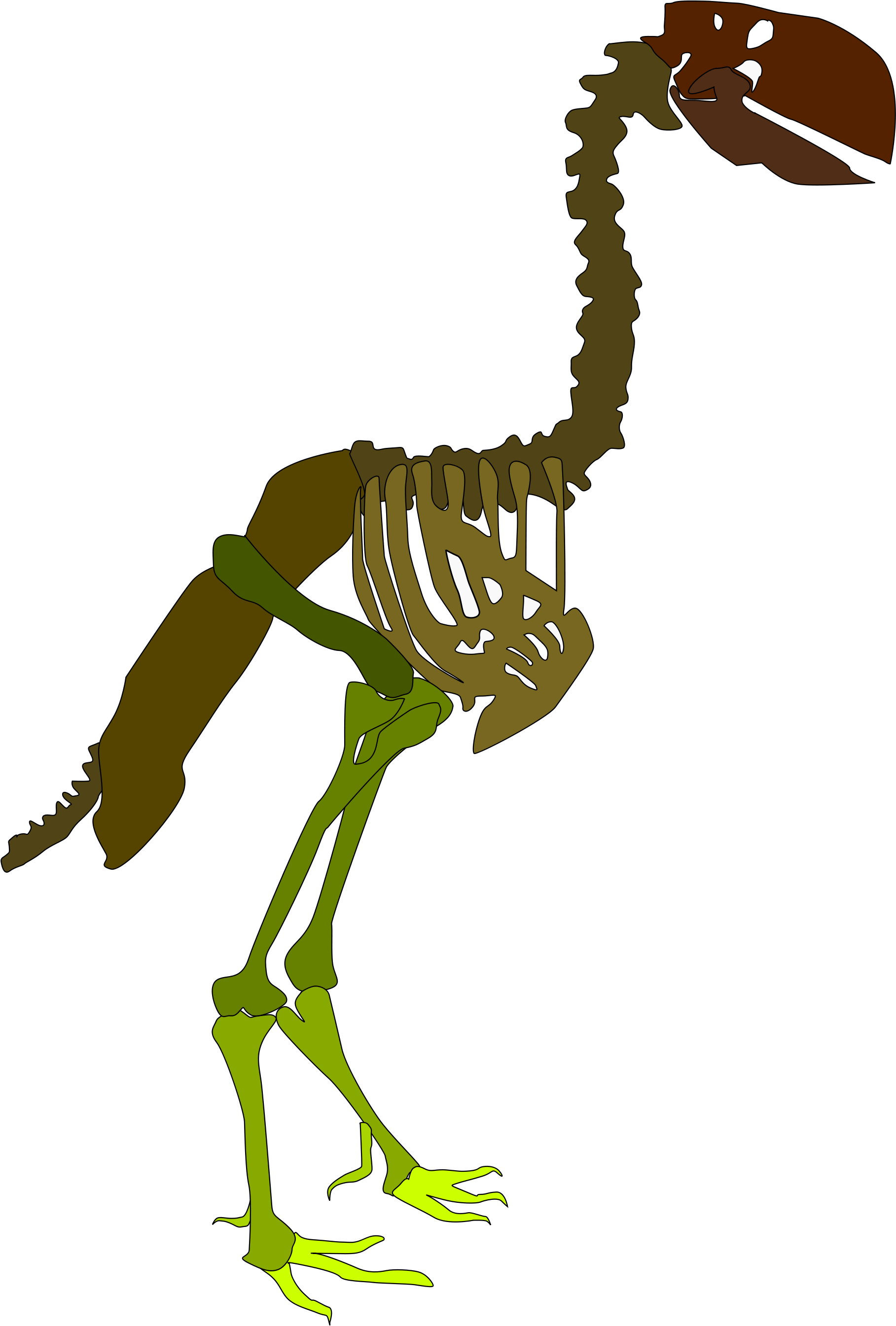 Open - Gastornis Skeleton (2000x2828)