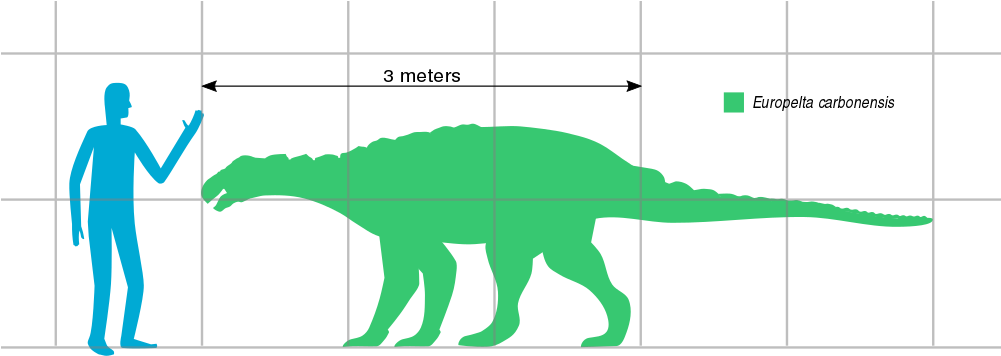 Open - Wikimedia Commons (1000x423)