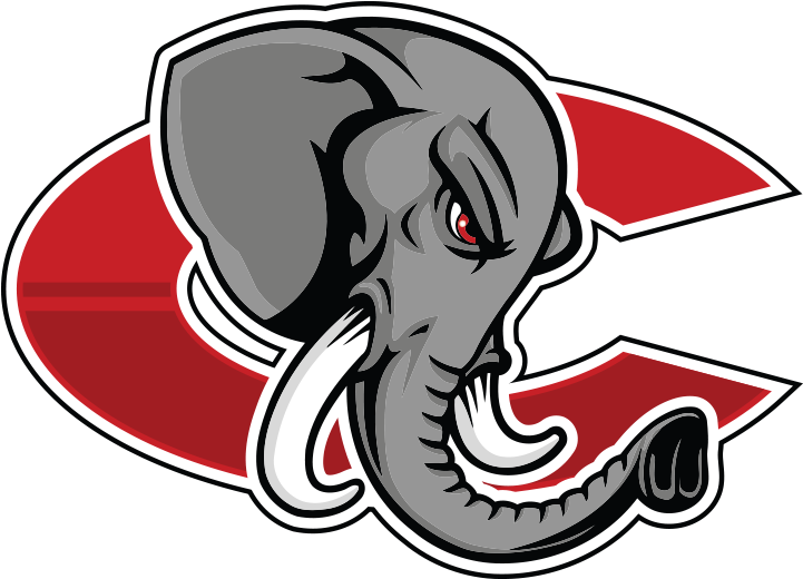Catania Elephants (720x720)