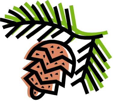 Pinecone - Pine Cone Drawing Easy (376x339)