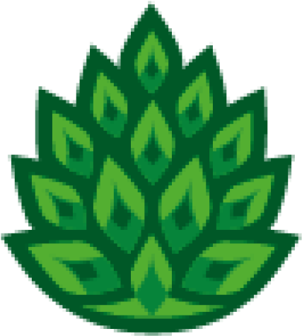 Pine Cone (512x512)
