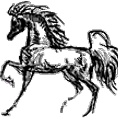 Alphamare - Horse (400x400)