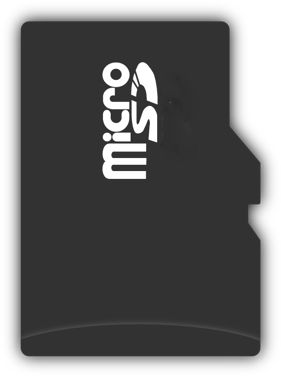 Industrial Sd Card For Data Logger - Micro Sd (313x443)