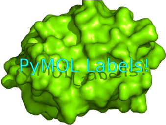 The Label Command Controls How Pymol Draws Text Labels - .pl (500x263)