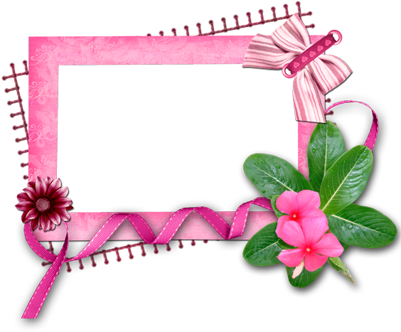 Flower Frame,กรอบรูปดอกไม้สวยๆ ชุดที่2 กรอบรูปสีชมพูหวานๆ - การ ถ่าย ละออง เรณู (600x600)