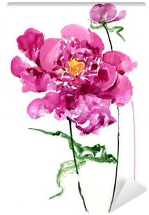 Common Peony (400x400)