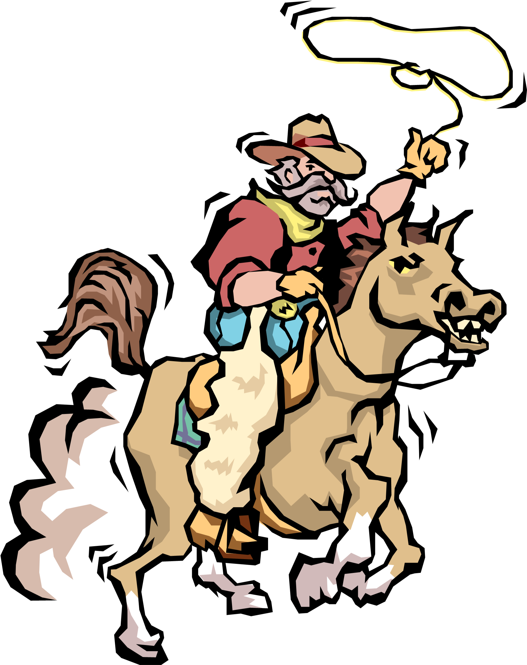 Lasso (1815x2303)