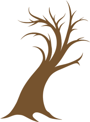 Escolar (1722x480)