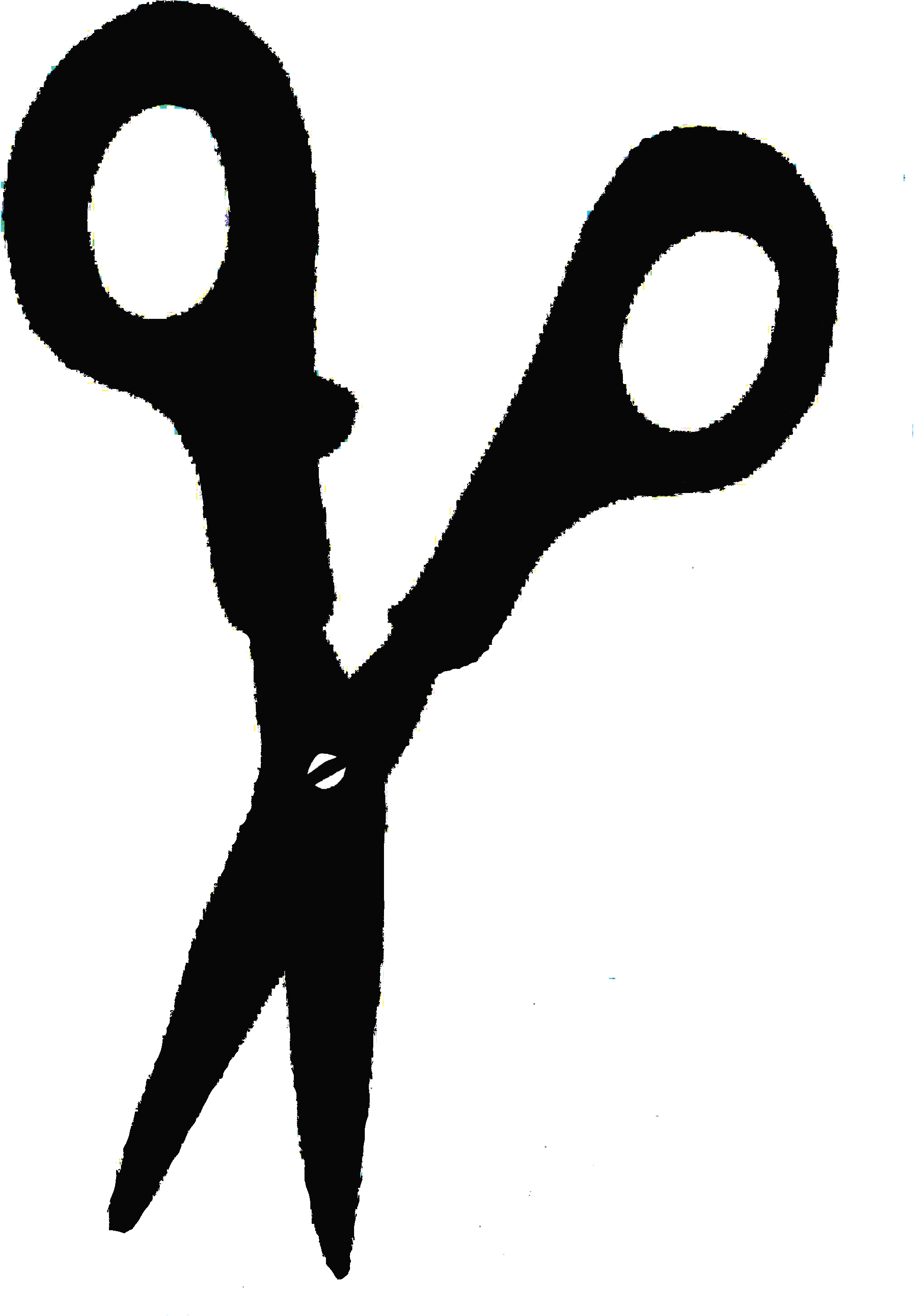 Illustration (2480x3508)