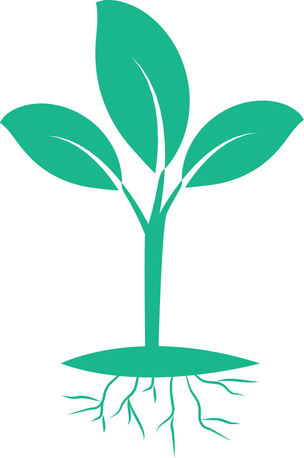 Founded In - Bootstrappers Guide For Entrepreneurs: Bootstrappers (1049x1576)