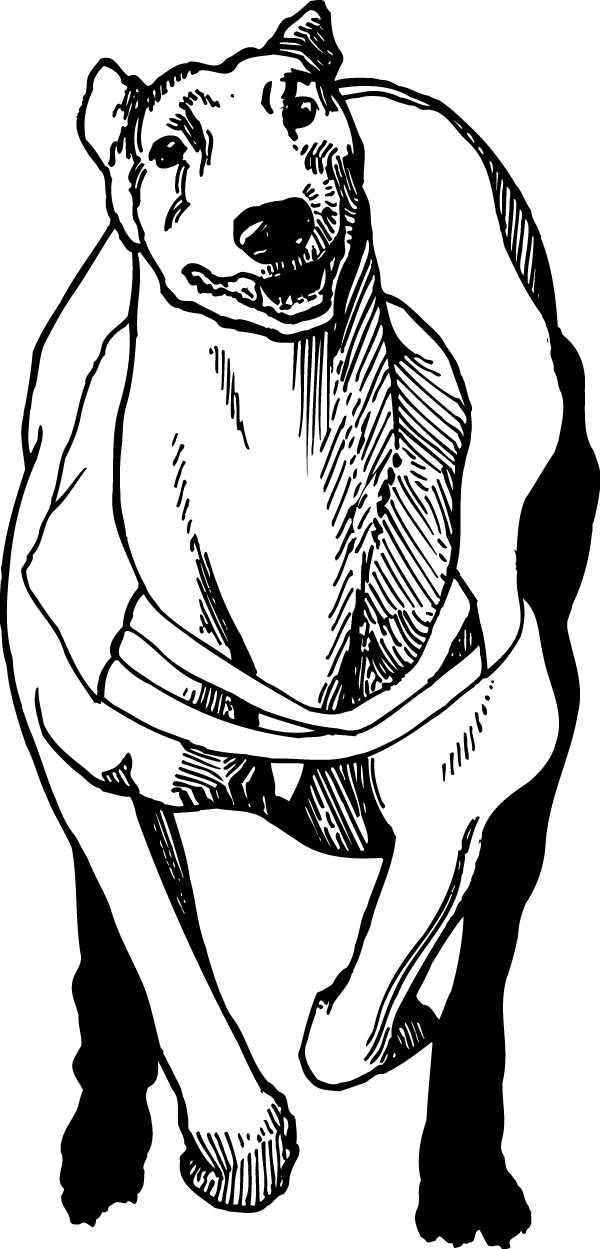 Illustration (600x1249)