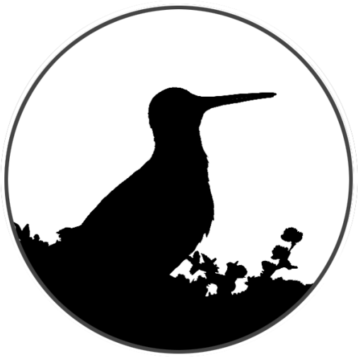 Silhouette (512x512)