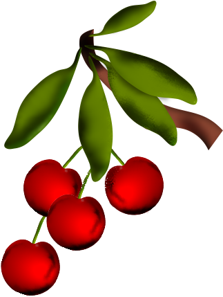 Cherries Clip Art - Clip Art (340x450)