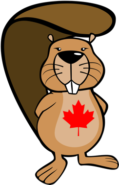 Beaver Computing Challenge - Bcc Beaver Computing Challenges (294x576)