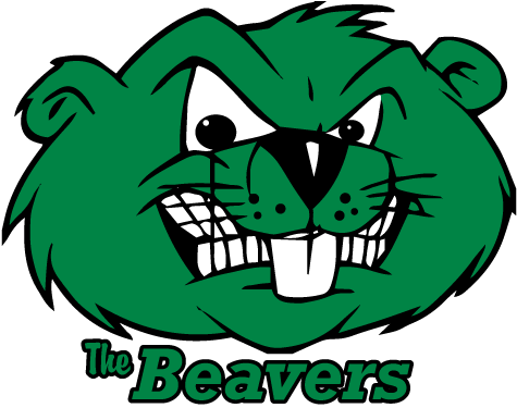 Beaver Cartoon (504x504)