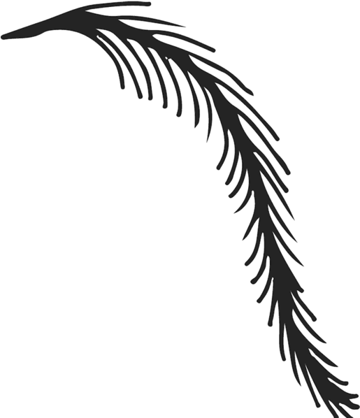 Illustration (600x600)