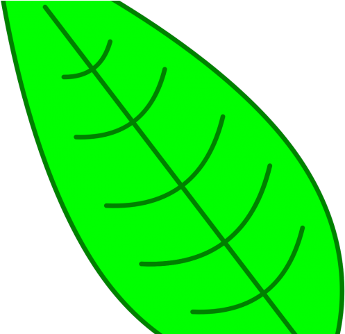 Leaf Clipart Easy - Leaf Clipart Easy (640x480)