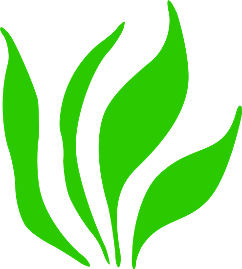Grass Png Icon (495x550)