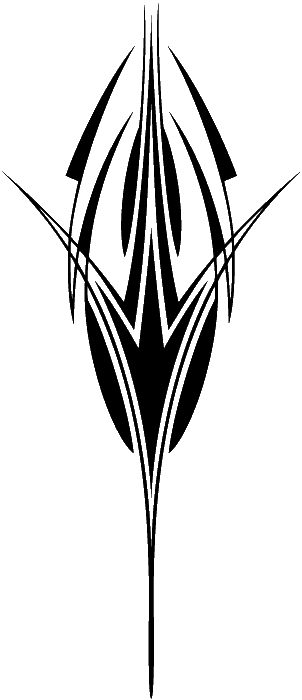 Drawing (302x700)