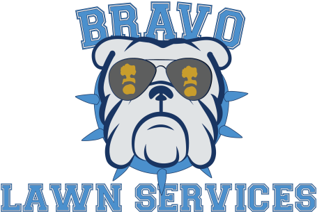 Service (456x328)