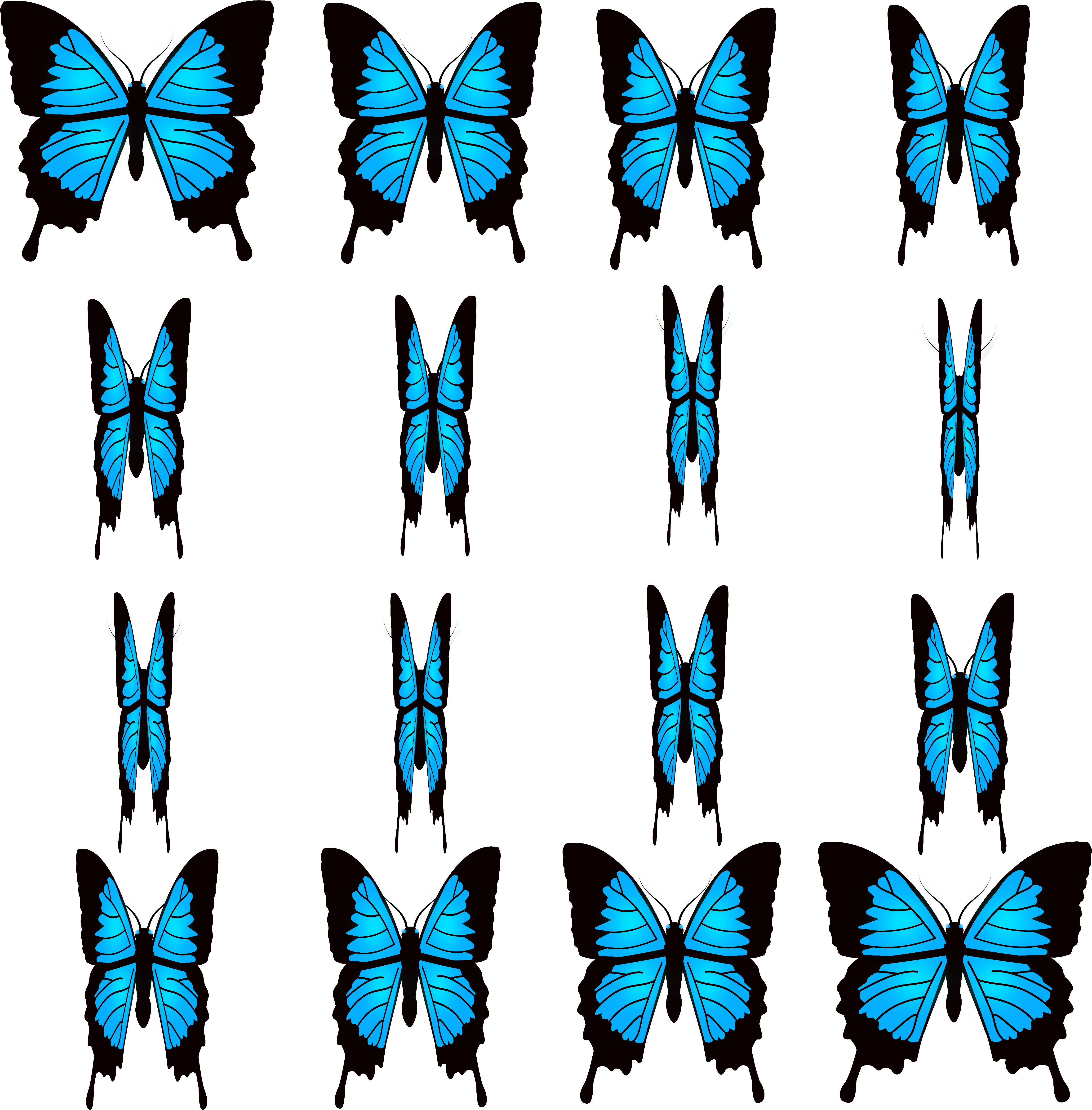 Preview - Ulysses Butterfly (5000x5000)