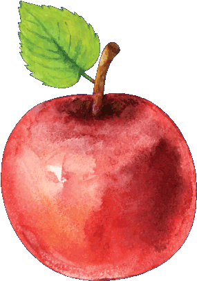 Apple (484x477)