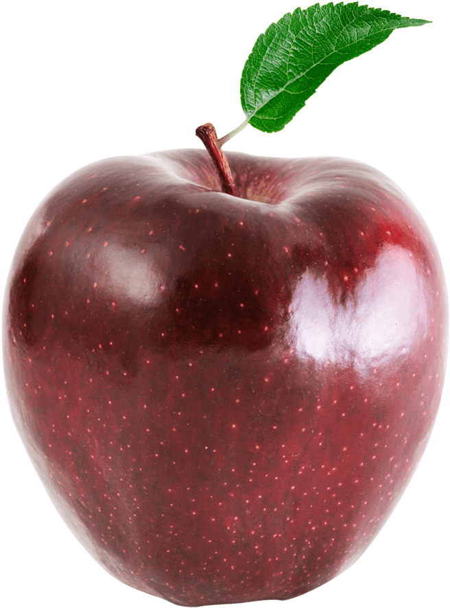 Red Chief - Apple (1000x1000)